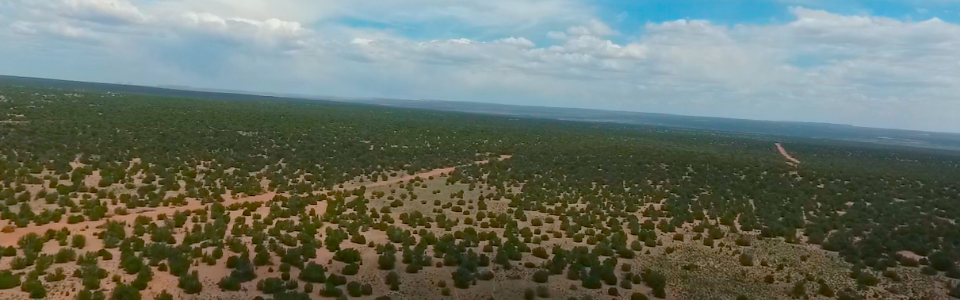 Screen Shot 2016-05-31 at 6.15.20 PM