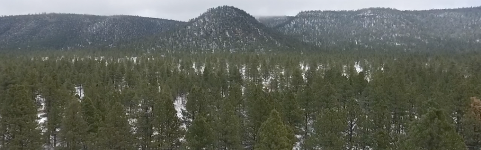 Screen Shot 2017-03-27 at 1.15.36 PM