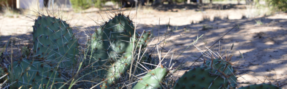 Screen Shot 2017-03-27 at 1.22.14 PM