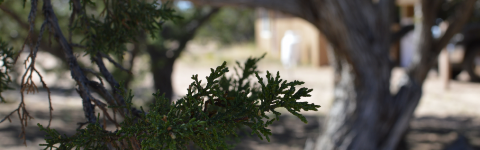 Screen Shot 2017-03-27 at 1.22.54 PM